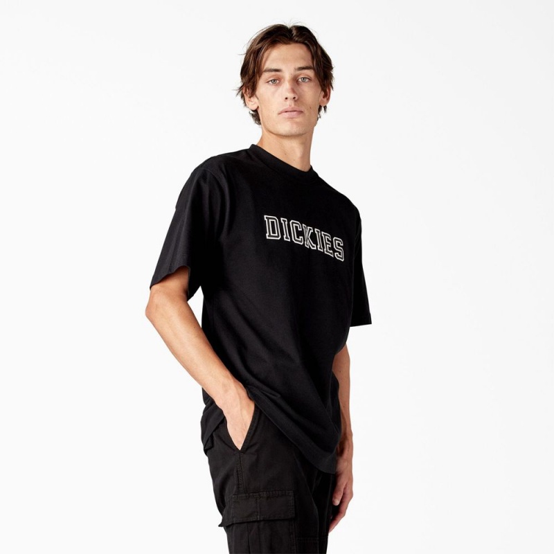 Men's Dickies Melvern Graphic T-Shirt Black | 9852403-WP