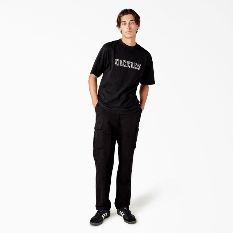 Men's Dickies Melvern Graphic T-Shirt Black | 9852403-WP