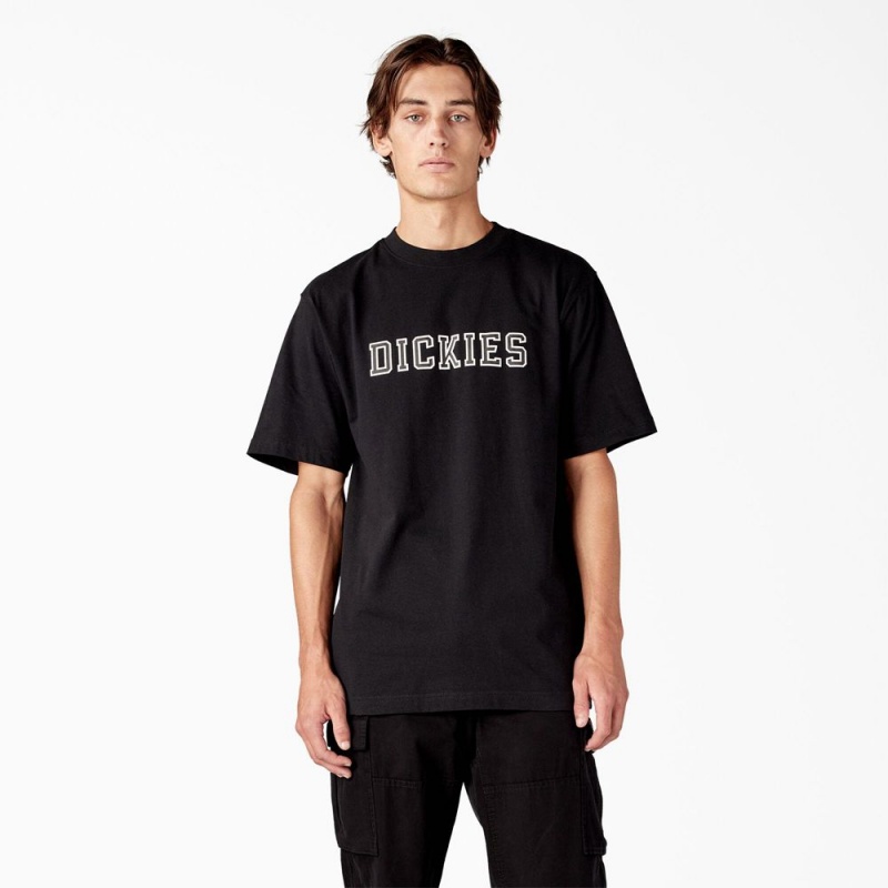 Men\'s Dickies Melvern Graphic T-Shirt Black | 9852403-WP