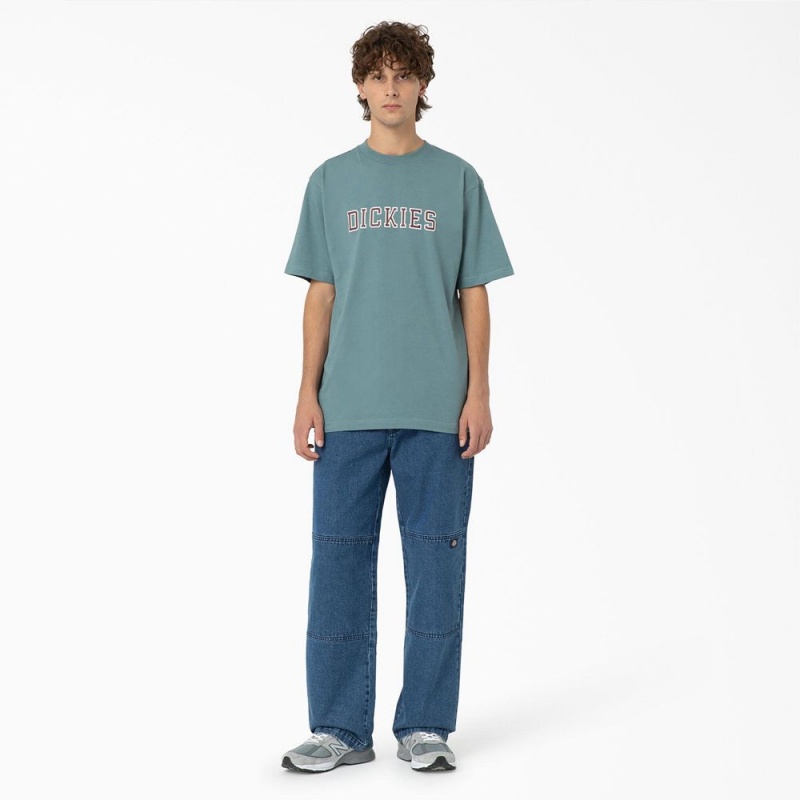 Men's Dickies Melvern Graphic T-Shirt Blue | 1075986-YX