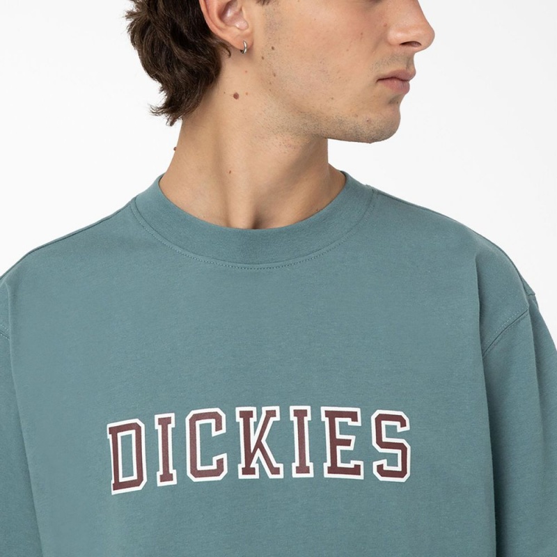 Men's Dickies Melvern Graphic T-Shirt Blue | 1075986-YX