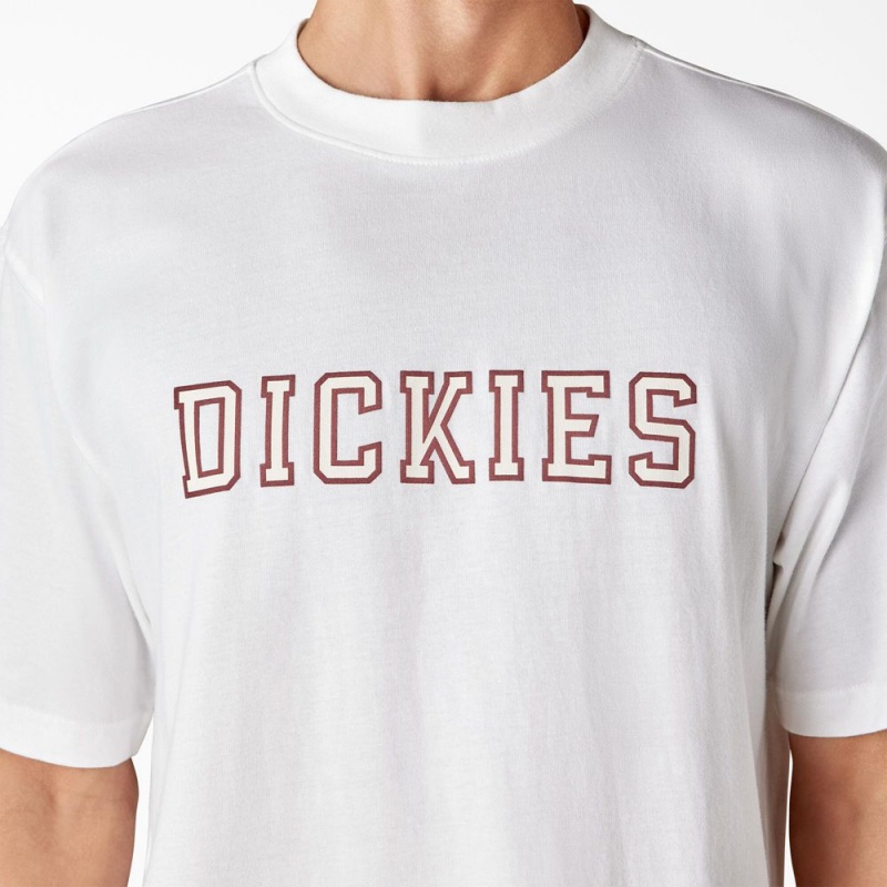 Men's Dickies Melvern Graphic T-Shirt White | 5941730-ZL