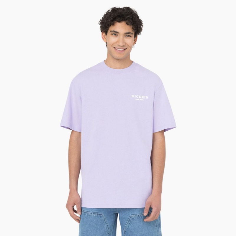 Men's Dickies Oatfield Short Sleeve T-Shirt Purple | 8692047-XD