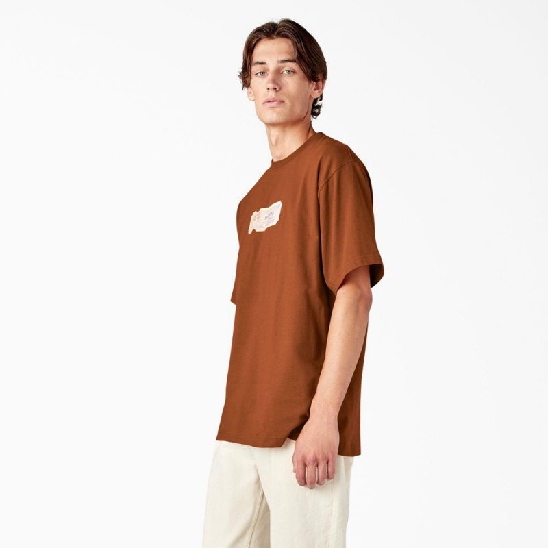 Men's Dickies Paxico Graphic T-Shirt Brown | 8195023-VL