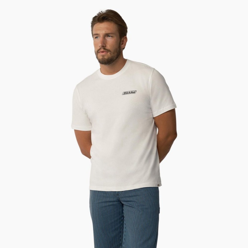 Men's Dickies Roseburg Short Sleeve T-Shirt White | 9376085-CY