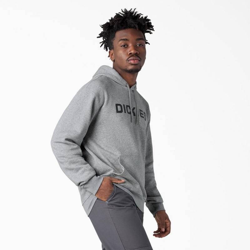 Men's Dickies Skateboarding Graphic Hoodie Grey | 6298471-NJ