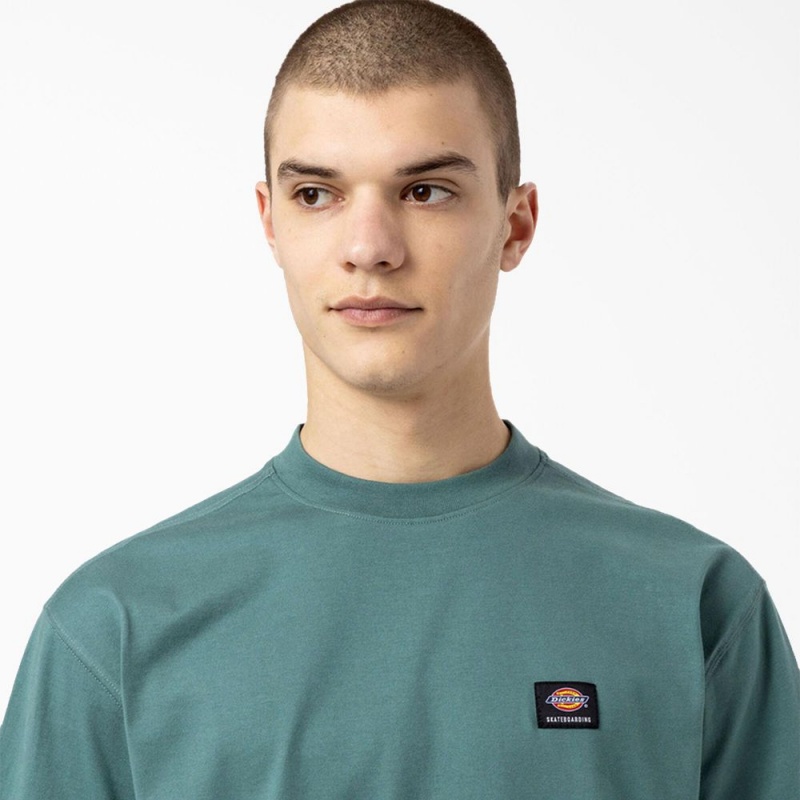 Men's Dickies Skateboarding Mount Vista T-Shirt Blue | 2549036-OL