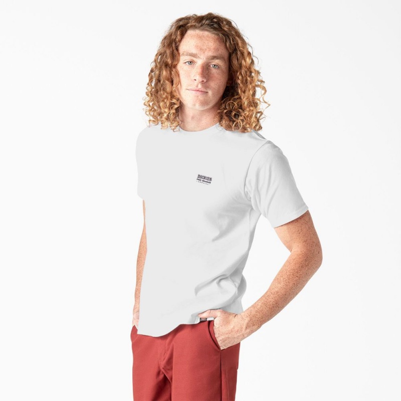 Men's Dickies Skateboarding Pool Drainage Graphic T-Shirt White | 9562307-VN