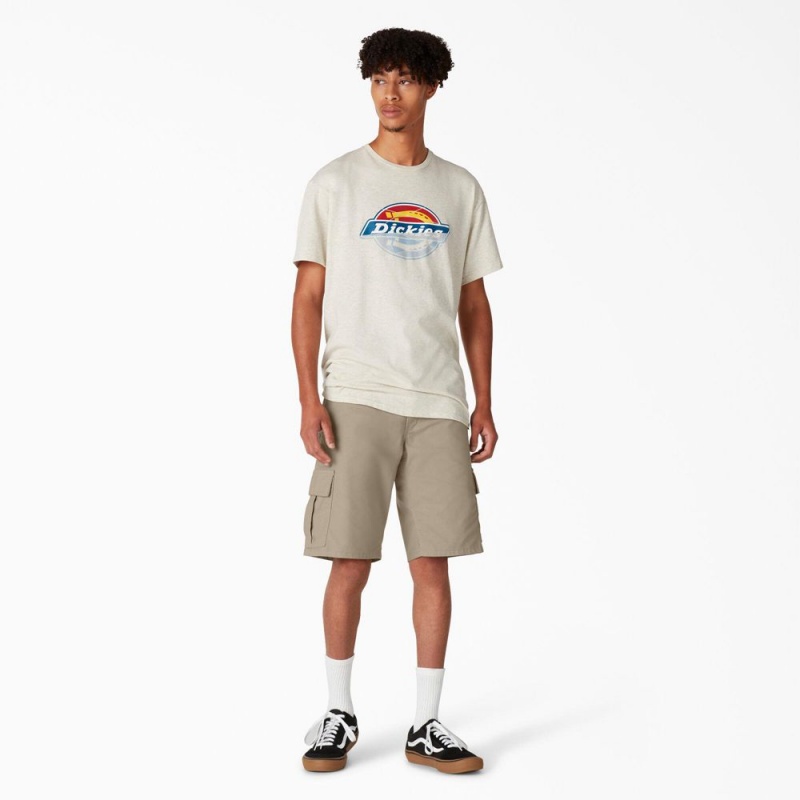 Men's Dickies Skateboarding Regular Fit Cargo Shorts Grey | 3164985-UL