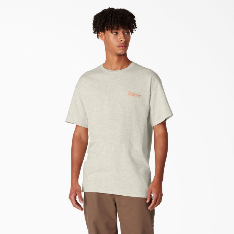 Men's Dickies Skateboarding Split Graphic T-Shirt Beige | 1296370-OA