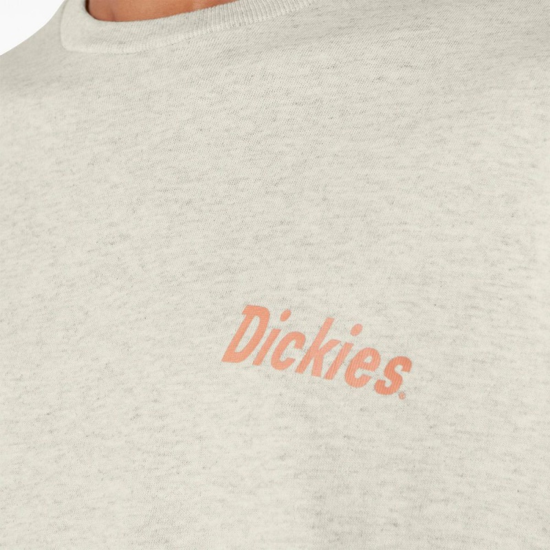 Men's Dickies Skateboarding Split Graphic T-Shirt Beige | 1296370-OA