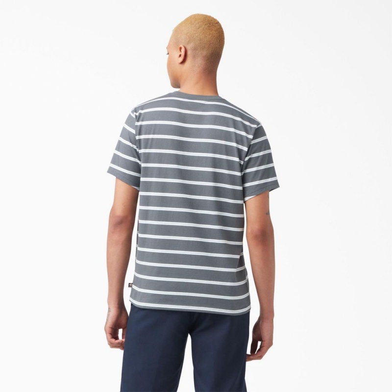 Men's Dickies Skateboarding Striped T-Shirt Grey | 2901456-UH