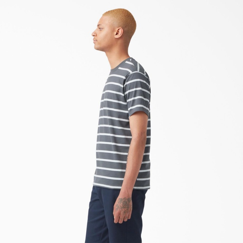 Men's Dickies Skateboarding Striped T-Shirt Grey | 2901456-UH