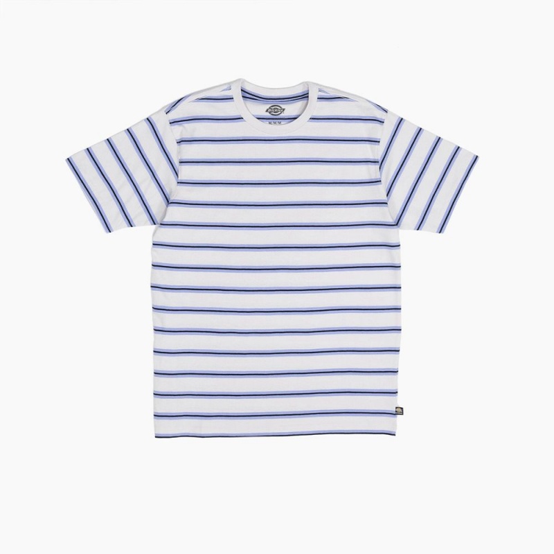 Men\'s Dickies Skateboarding Striped T-Shirt Blue | 7213058-TC