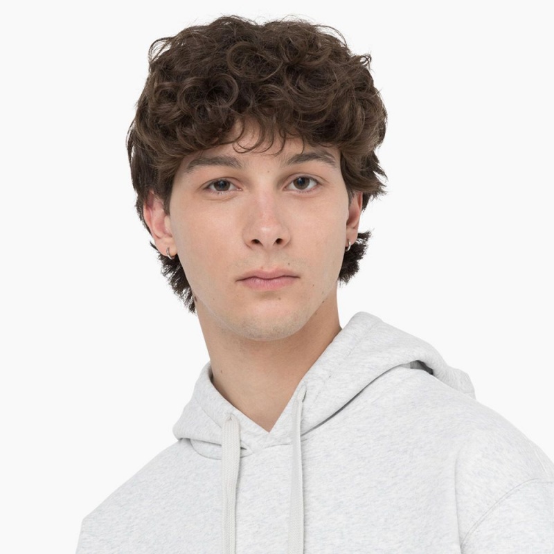 Men's Dickies Summerdale Hoodie White | 6987430-CL