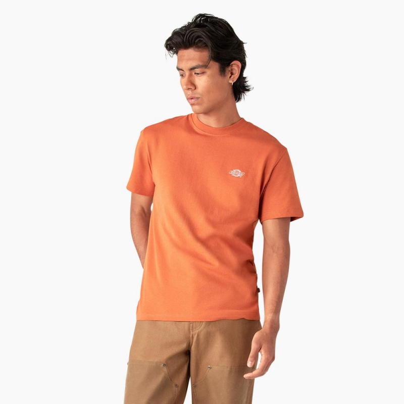 Men\'s Dickies Summerdale Short Sleeve T-Shirt Orange | 1924607-VI