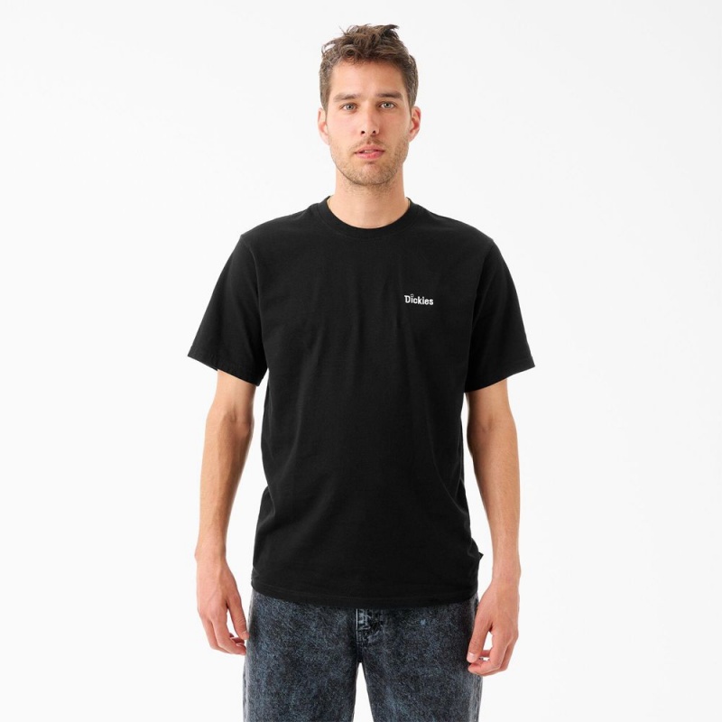 Men\'s Dickies Tom Knox Embroidery T-Shirt Black | 1974635-BC