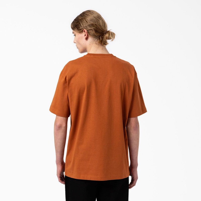 Men's Dickies Union Springs Short Sleeve T-Shirt Brown | 7809316-XF