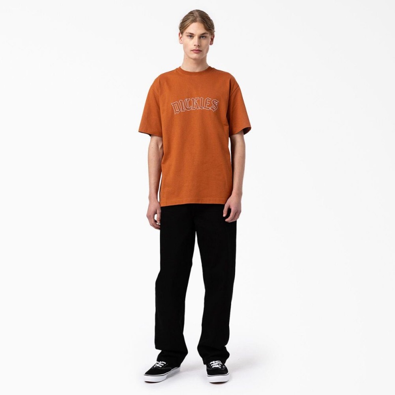 Men's Dickies Union Springs Short Sleeve T-Shirt Brown | 7809316-XF