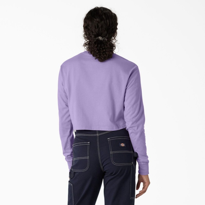 Women's Dickies Butterfly Graphic Long Sleeve Cropped T-Shirt Purple | 6152930-NF