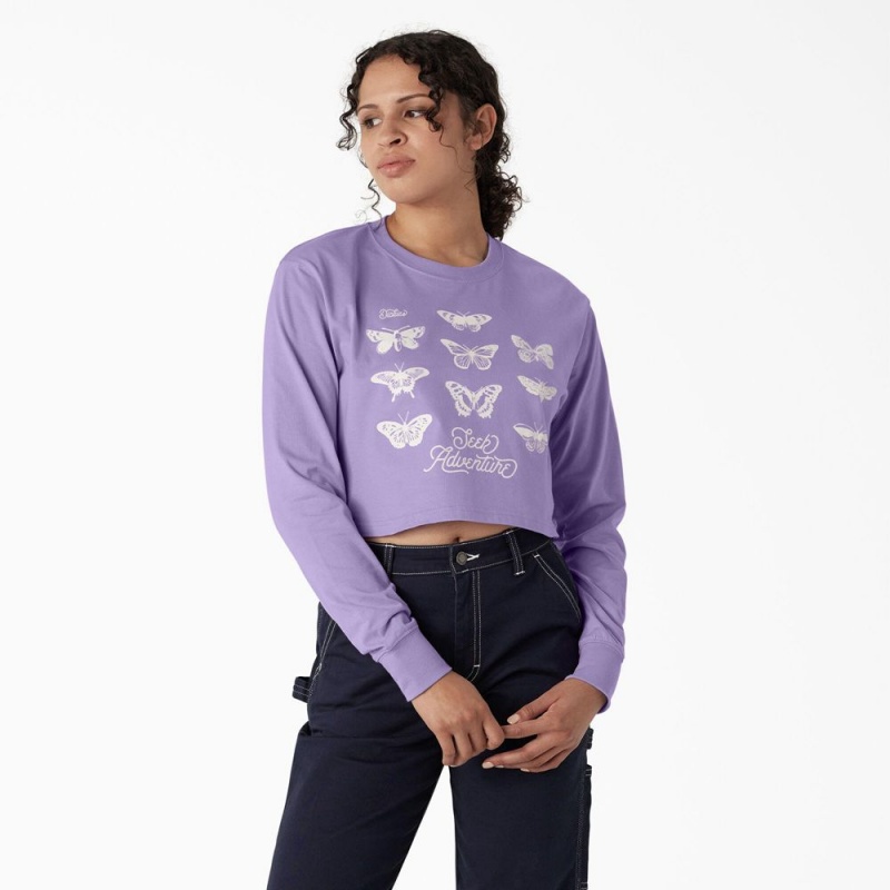 Women\'s Dickies Butterfly Graphic Long Sleeve Cropped T-Shirt Purple | 6152930-NF