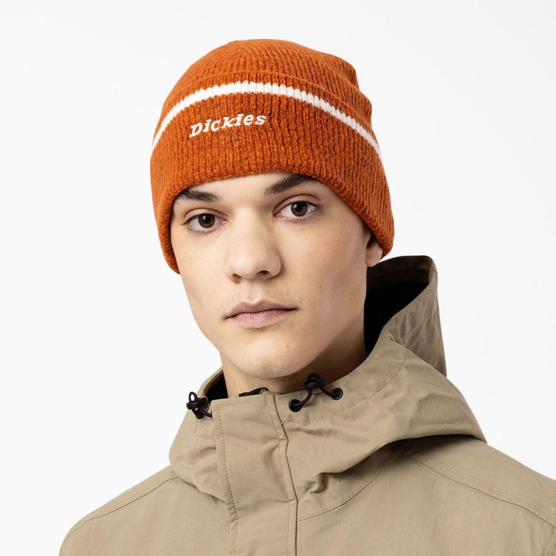 Women's Dickies Chalkville Beanie Orange | 5384126-CO