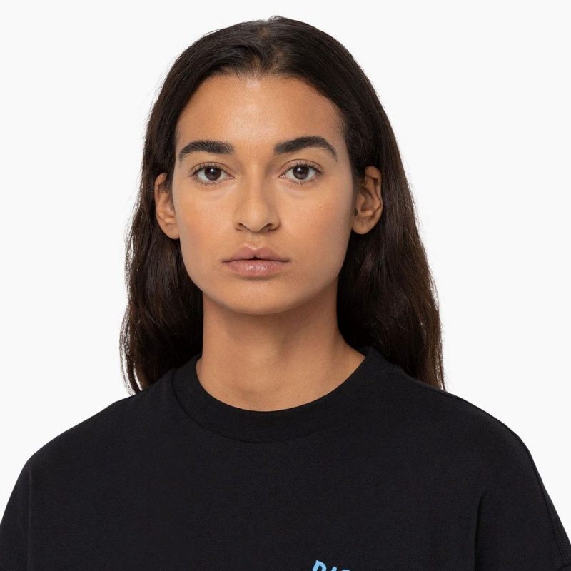 Women's Dickies Creswell Graphic T-Shirt Black | 7204836-HI