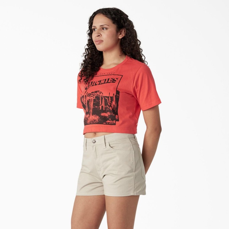 Women's Dickies Desert Graphic Cropped T-Shirt Pink | 2513067-RM