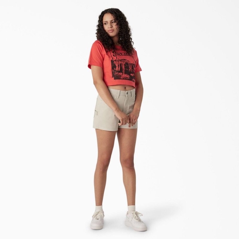 Women's Dickies Desert Graphic Cropped T-Shirt Pink | 2513067-RM