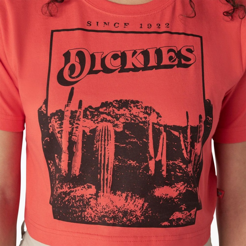 Women's Dickies Desert Graphic Cropped T-Shirt Pink | 2513067-RM