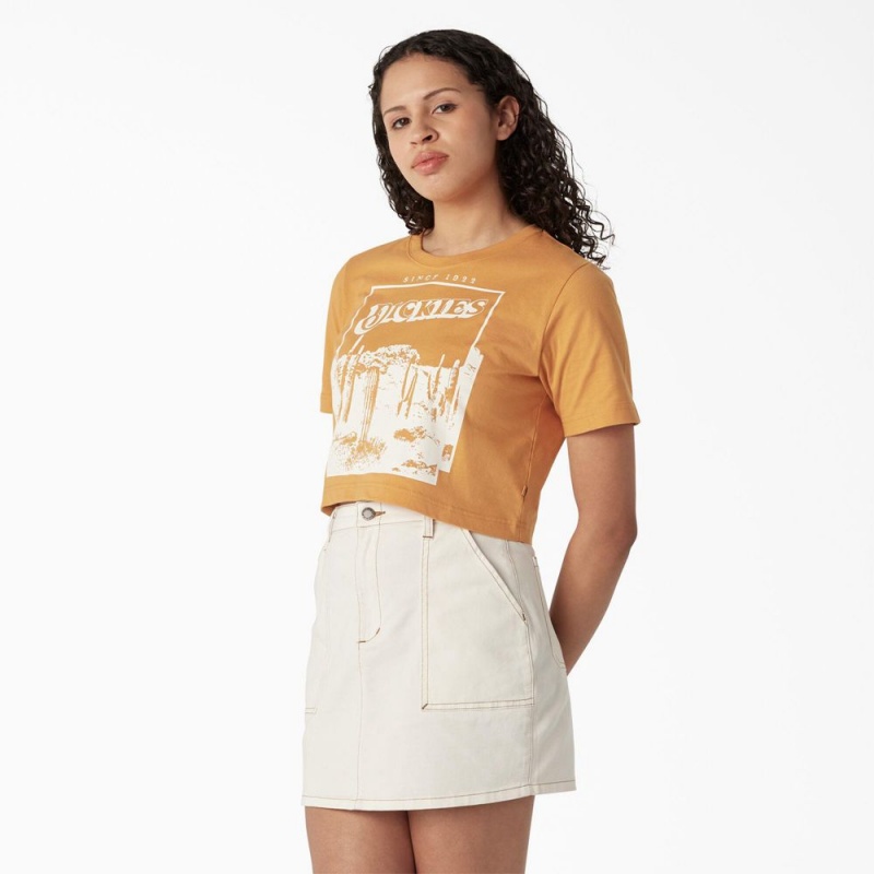 Women's Dickies Desert Graphic Cropped T-Shirt Yellow | 0782653-ND