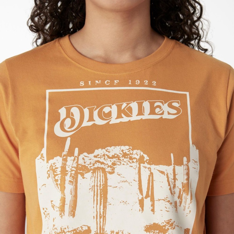 Women's Dickies Desert Graphic Cropped T-Shirt Yellow | 0782653-ND