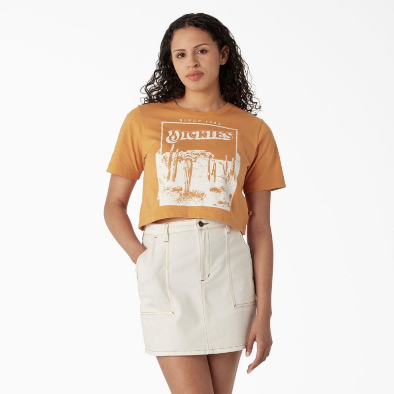 Women\'s Dickies Desert Graphic Cropped T-Shirt Yellow | 0782653-ND