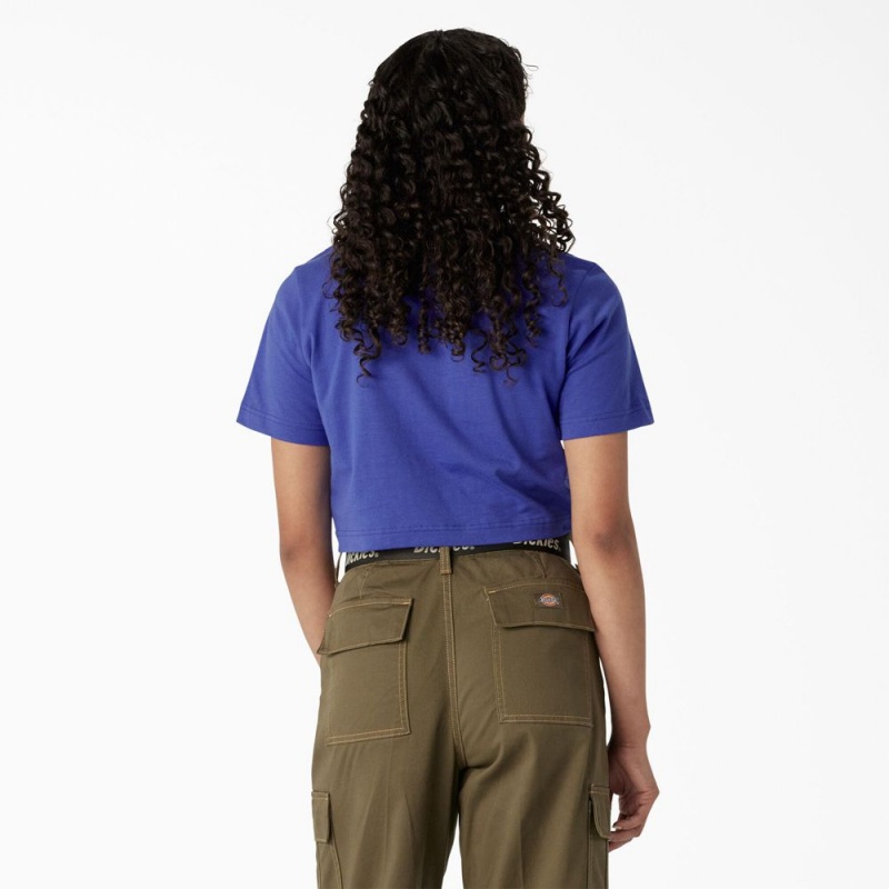 Women's Dickies Desert Graphic Cropped T-Shirt Blue | 0623948-CM