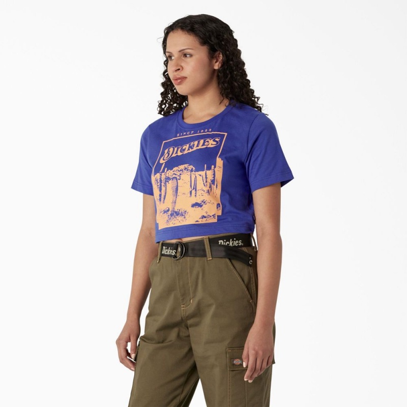 Women's Dickies Desert Graphic Cropped T-Shirt Blue | 0623948-CM