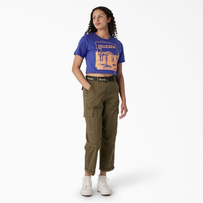 Women's Dickies Desert Graphic Cropped T-Shirt Blue | 0623948-CM