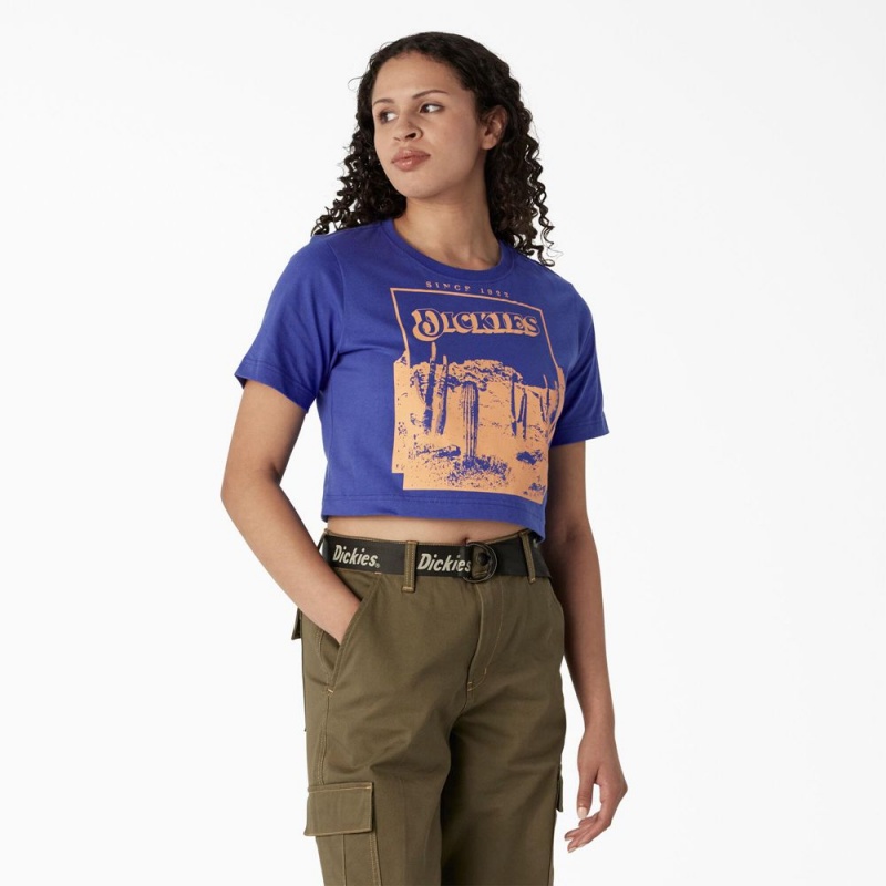 Women\'s Dickies Desert Graphic Cropped T-Shirt Blue | 0623948-CM