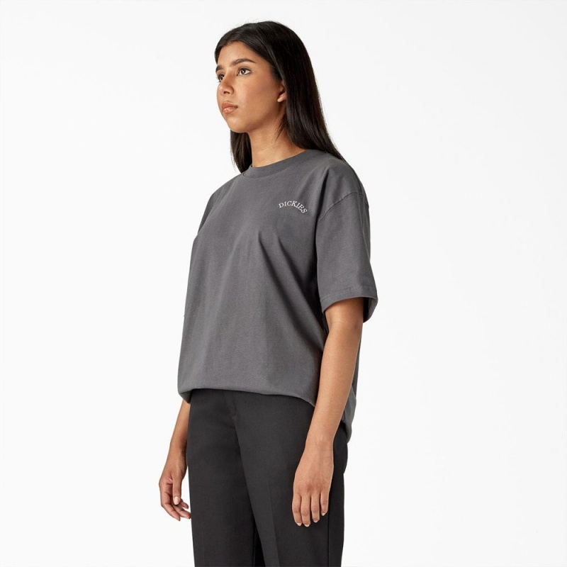 Women's Dickies Eagle Barrel Heavyweight T-Shirt Grey | 6789501-JC