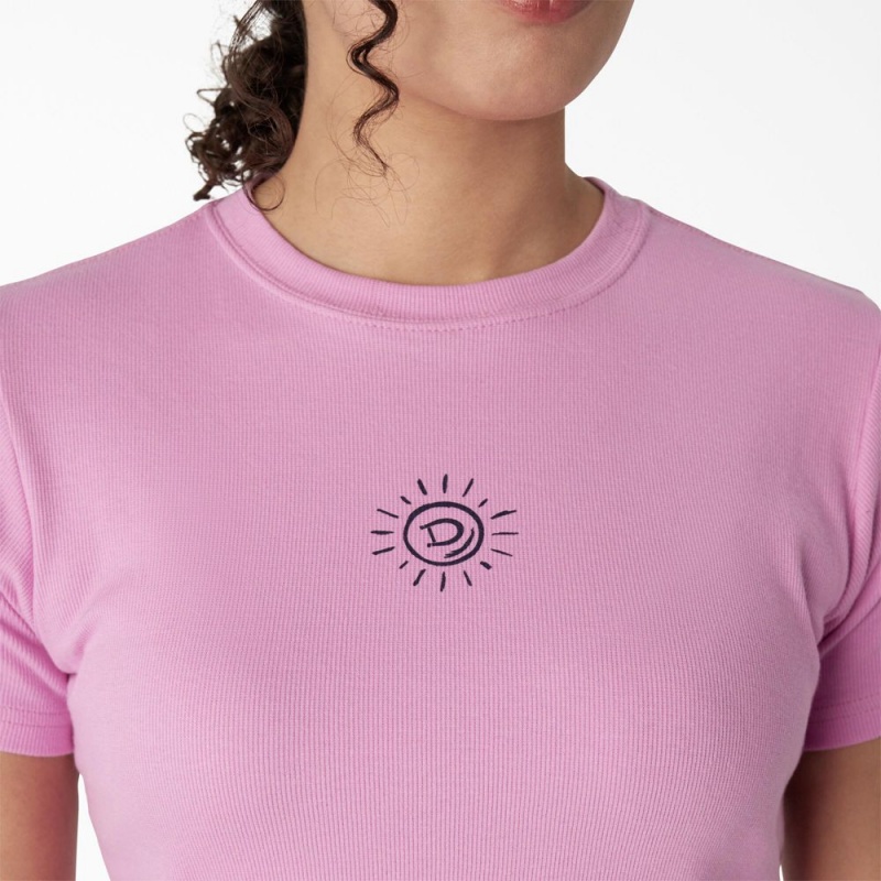 Women's Dickies Embroidered Cropped Baby T-Shirt Pink | 0472158-IA