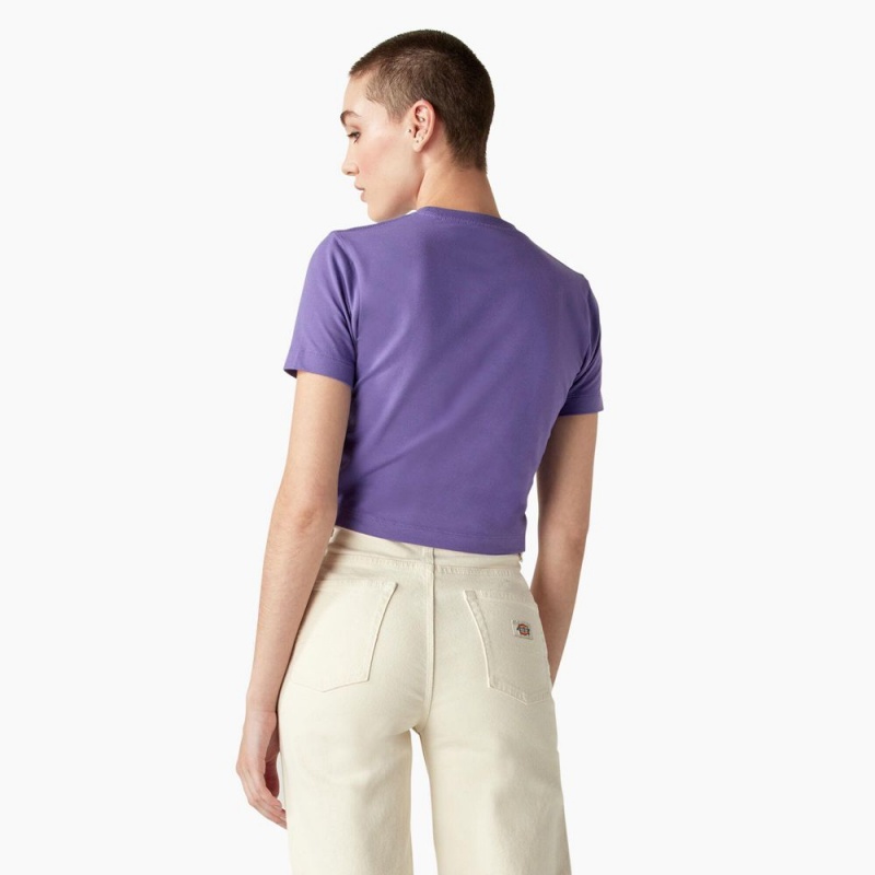 Women's Dickies Garden Plain Cropped T-Shirt Purple | 2094753-CD