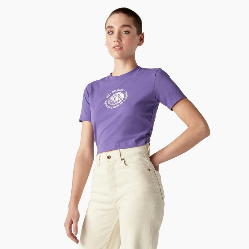 Women's Dickies Garden Plain Cropped T-Shirt Purple | 2094753-CD