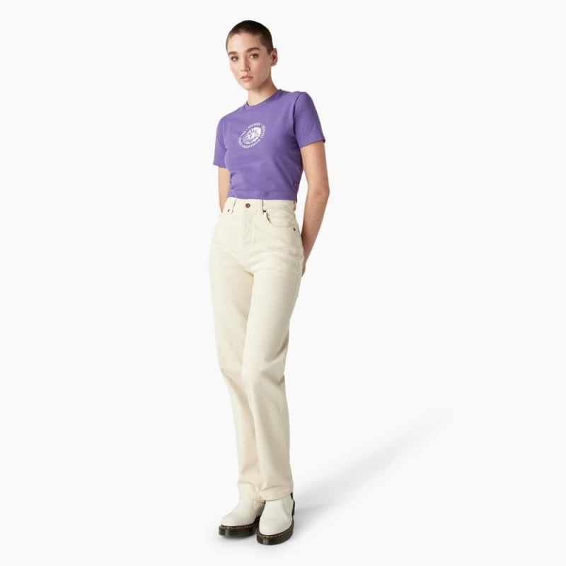 Women's Dickies Garden Plain Cropped T-Shirt Purple | 2094753-CD