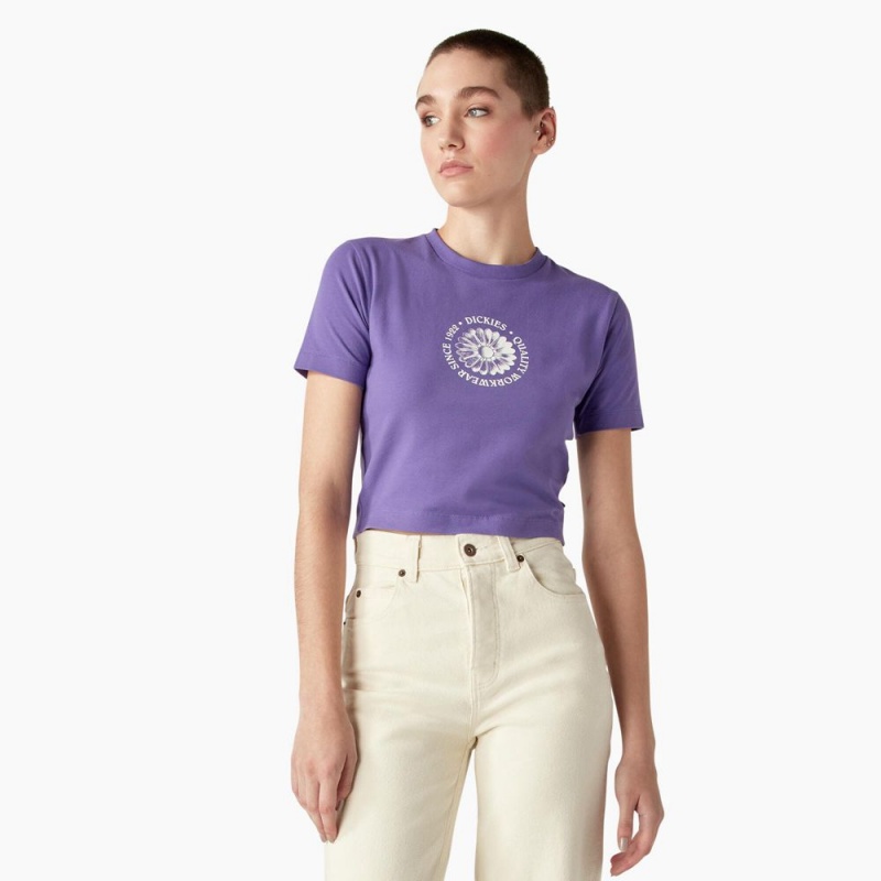 Women\'s Dickies Garden Plain Cropped T-Shirt Purple | 2094753-CD