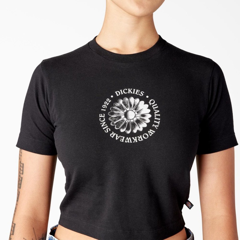 Women's Dickies Garden Plain Cropped T-Shirt Black | 1276953-AZ