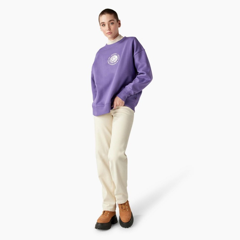 Women's Dickies Garden Plain Sweatshirt Purple | 1756938-QO