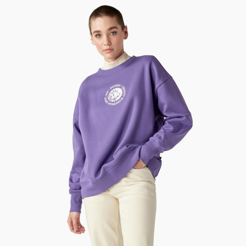 Women\'s Dickies Garden Plain Sweatshirt Purple | 1756938-QO