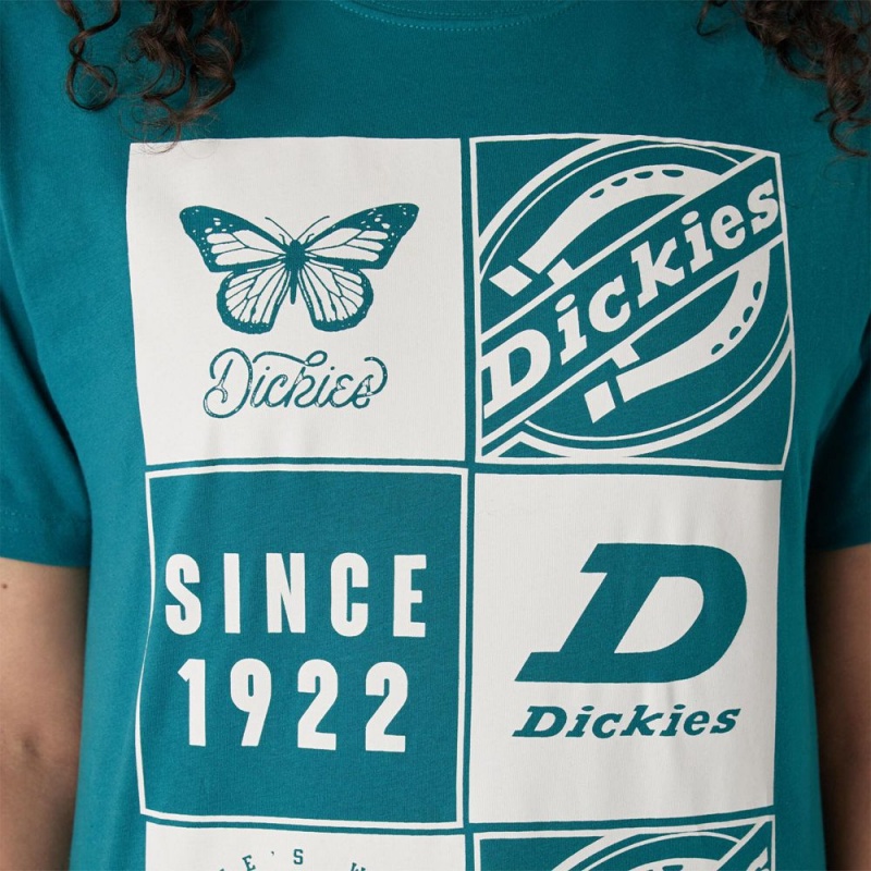 Women's Dickies Graphic Band T-Shirt Blue | 3160485-WS