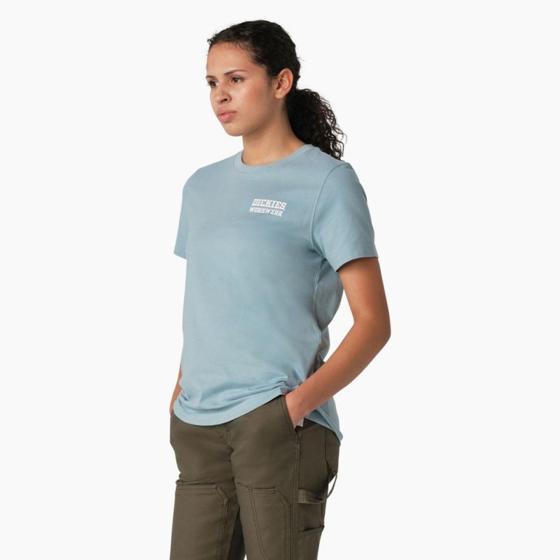 Women's Dickies Heavyweight Workwear Graphic T-Shirt Blue | 8057429-XG