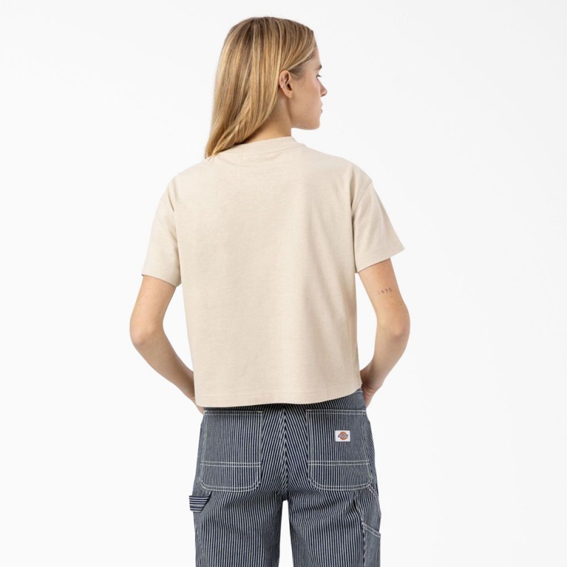 Women's Dickies Loretto Cropped T-Shirt Beige | 7291508-FI