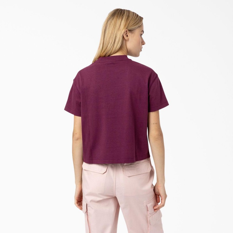 Women's Dickies Loretto Cropped T-Shirt Purple | 2967084-QI